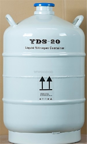 Cryogenic container - 20,